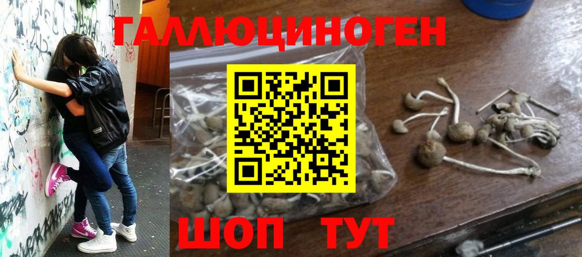 Псилоцибиновые грибы ЛСД  Вход с VPN  Псилоцибиновые грибы Psilocybe  Будённовск 